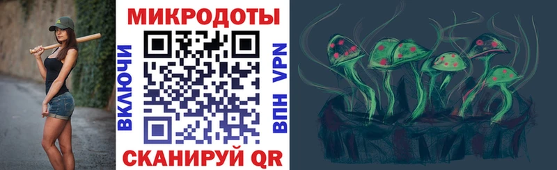 Галлюциногенные грибы Magic Shrooms  купить   Спас-Клепики 